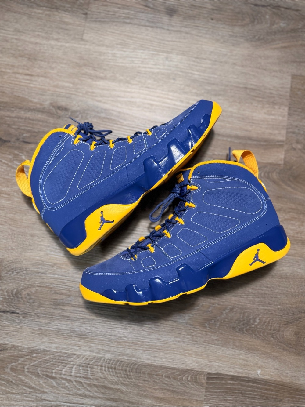 Air Jordan 9 Calvin Bailey (2012)